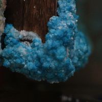 GogoFlow - Frei Sein