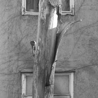 GogoFlow's Birthday Bash - Superstition (LIVE)