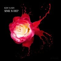 [DMTRL001] Igor Vlasov - Sense is Deep by MFSound (Ideas & Experience)