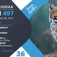 RNH 497, June 30, 2019 Soora Qalbii by NHStudio