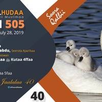 RNH 505, July 28, 2019 Soora Qalbii by NHStudio