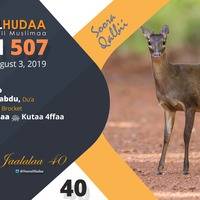 RNH 507, August 3, 2019 Soora Qalbii by NHStudio
