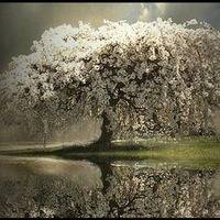 This is my soul.mp3 by M3tator Composer