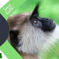 RNH 491, June 16, 2019 Soora Qalbii by NHStudio